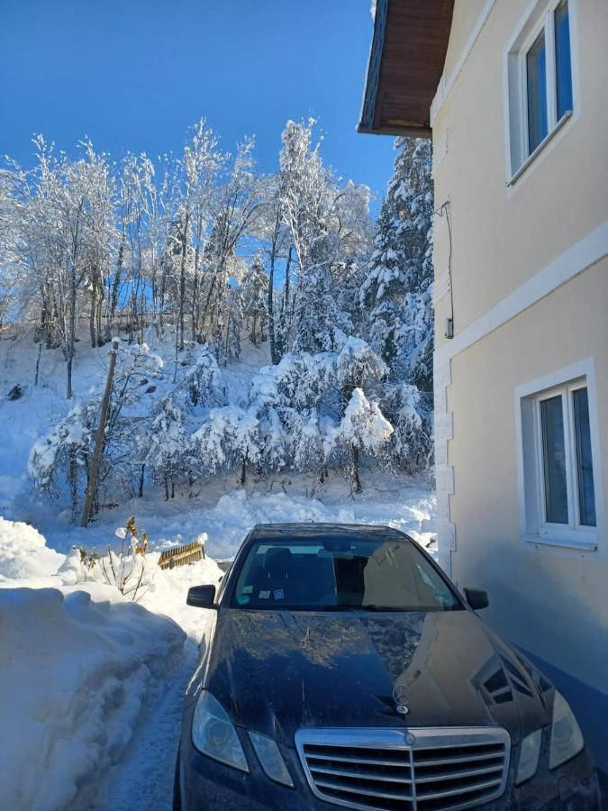 Ferienwohnung Gaensebluemchen Feistritz an der Gail Exterior photo